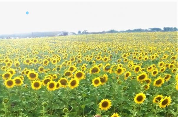 4 scatti fotografici in ricordo della vostra estate